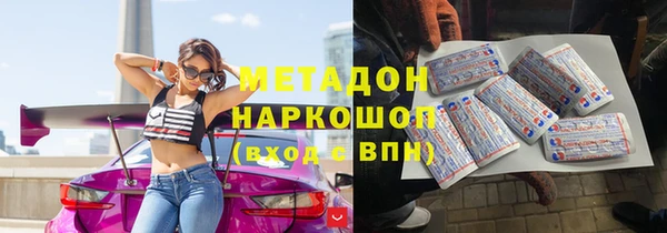 индика Аркадак