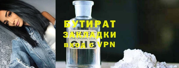 индика Аркадак