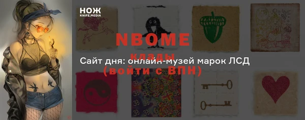 индика Аркадак