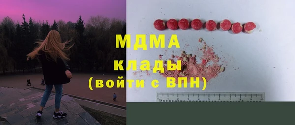 индика Аркадак