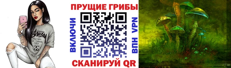 Галлюциногенные грибы MAGIC MUSHROOMS  Пугачёв 